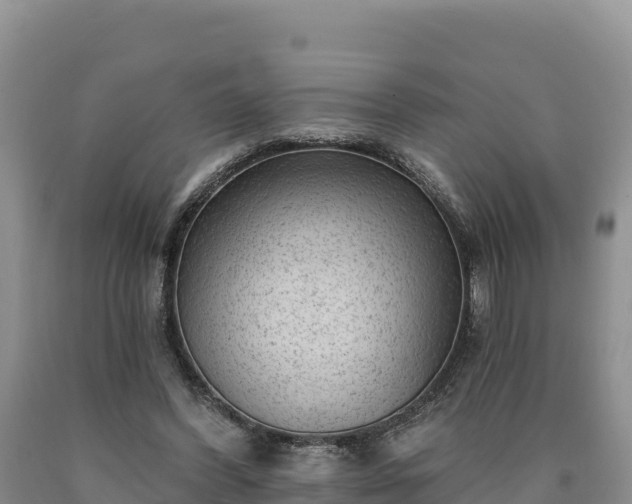 X0000090630396200707241157
