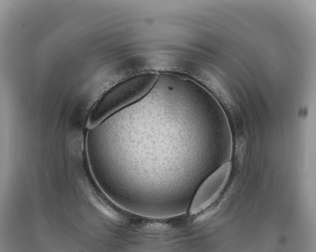 X0000090630397200707241157