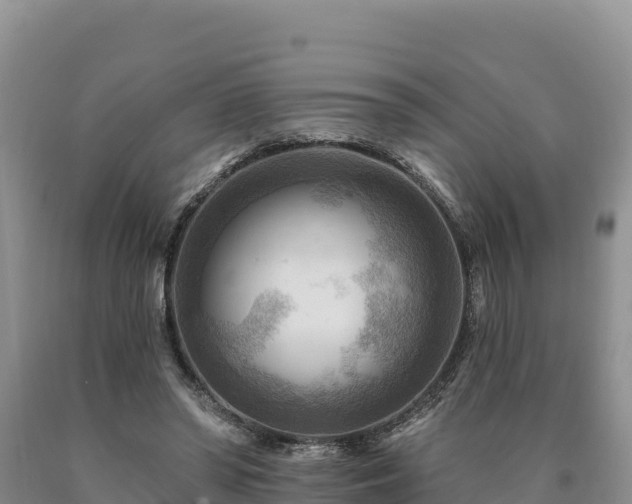 X0000090630398200707241157