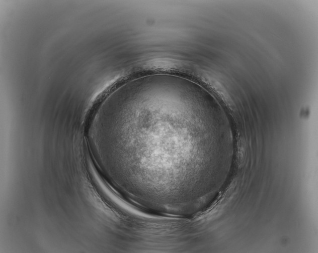 X0000090630399200707241157