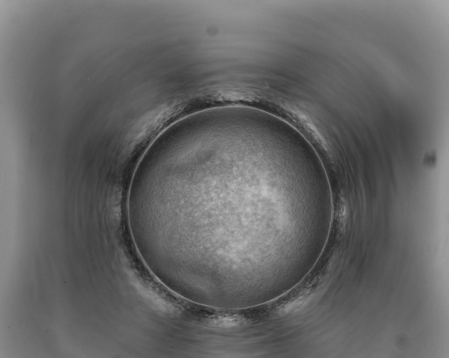 X0000090630402200707241157