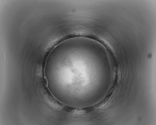 X0000090630403200707241157