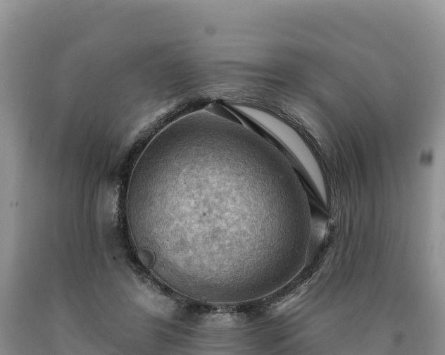 X0000090630404200707241157