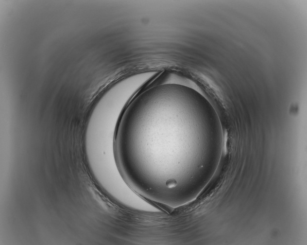 X0000090630405200707241157