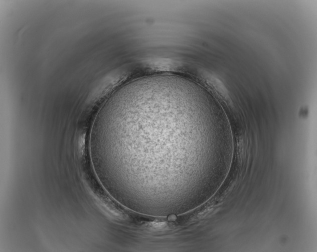 X0000090630406200707241157