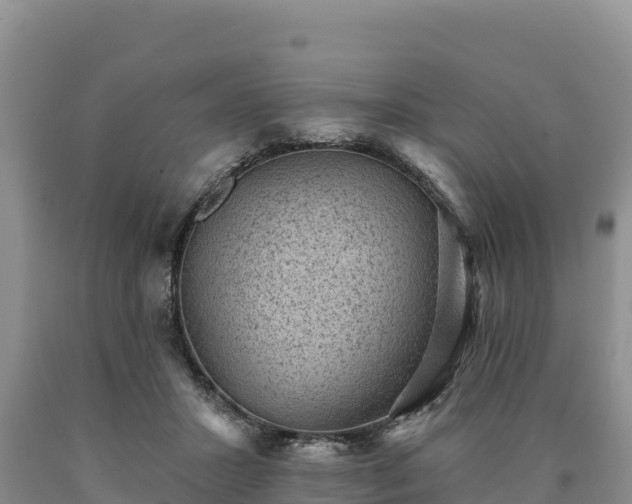 X0000090630407200707241157