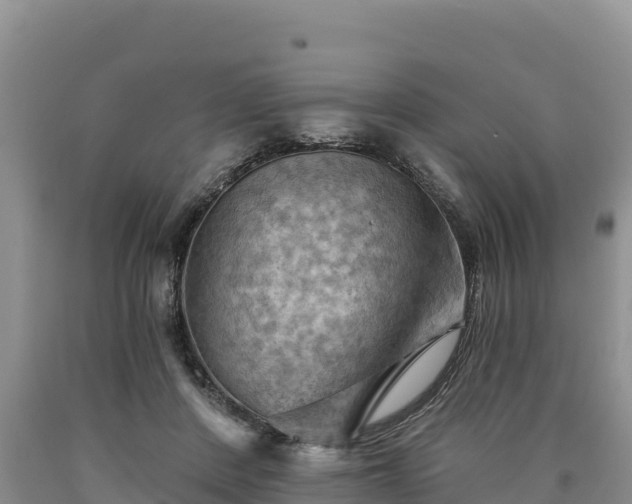 X0000090630408200707241157