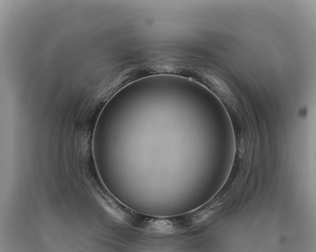 X0000090630409200707241157