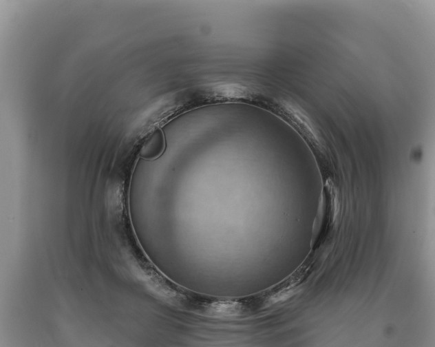 X0000090630410200707241157