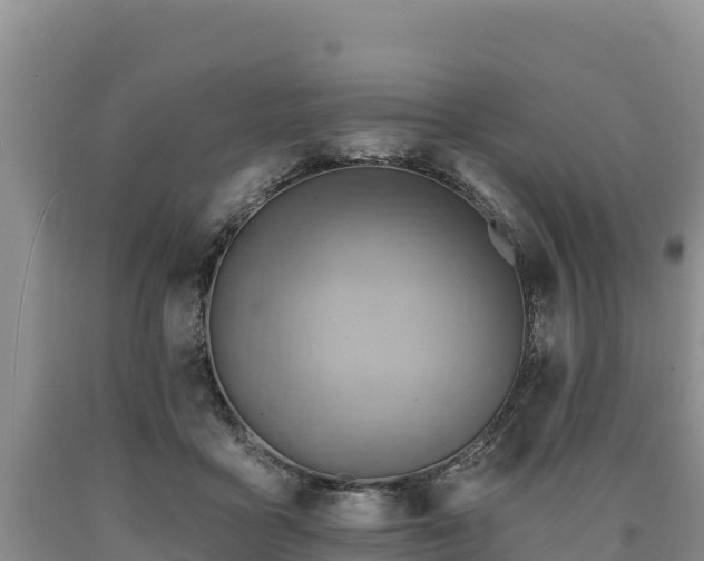 X0000090630411200707241157