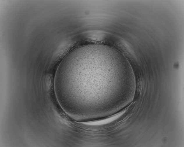 X0000090630412200707241157