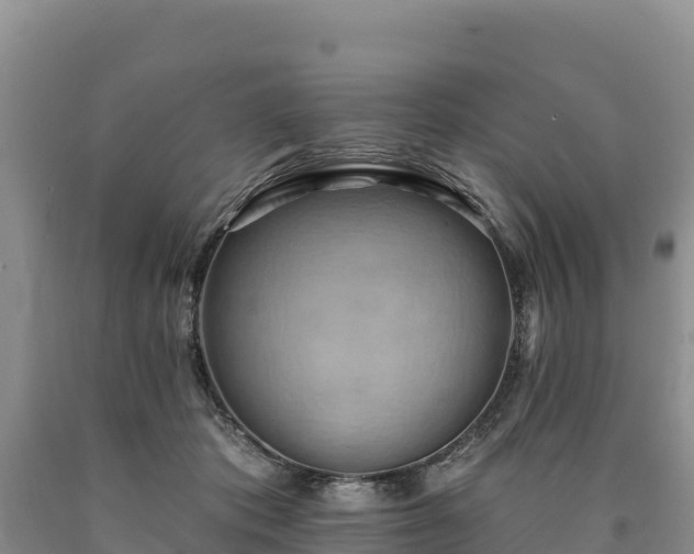 X0000090630413200707241157