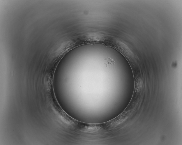 X0000090630414200707241157