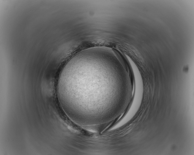 X0000090630416200707241157