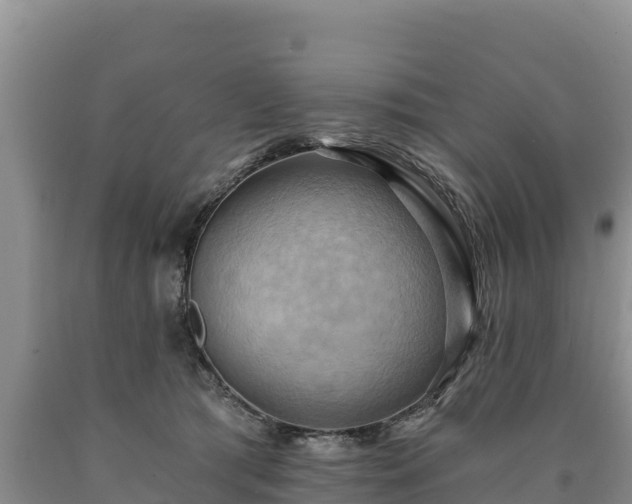 X0000090630417200707241157