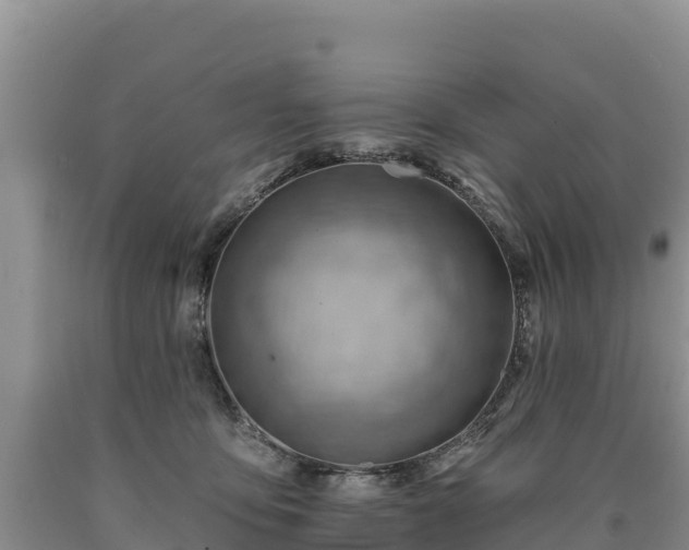 X0000090630419200707241157