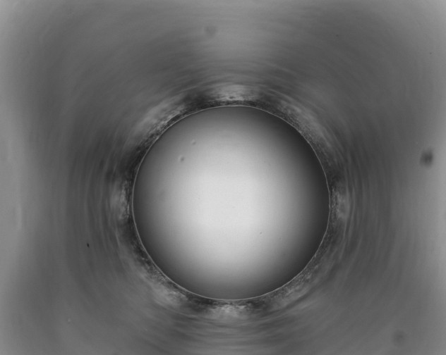 X0000090630422200707241156