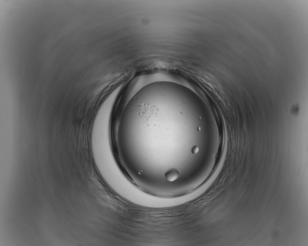 X0000090630423200707241156