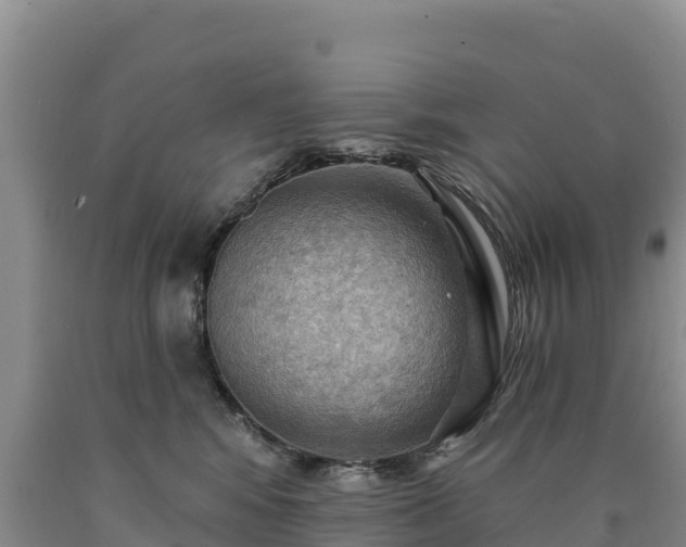 X0000090630424200707241156