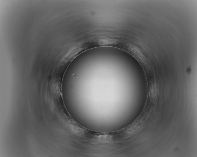 X0000090630426200707241156