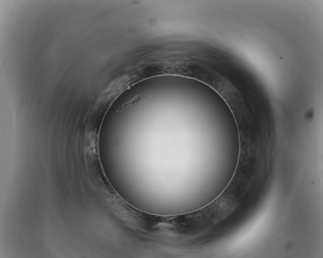 X0000090630430200707241156