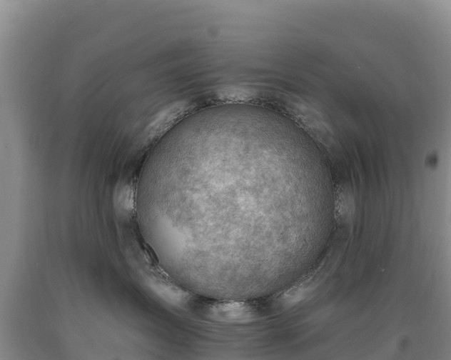 X0000090630431200707241156