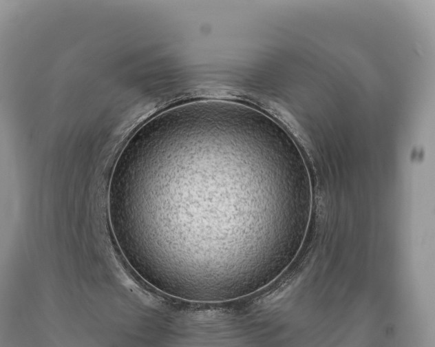 X0000090630433200707241156