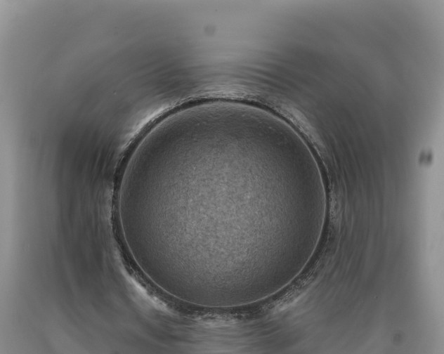 X0000090630434200707241156