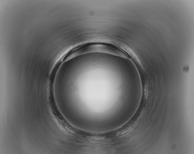 X0000090630436200707241156