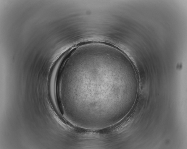 X0000090630437200707241156