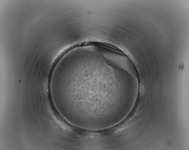 X0000090630438200707241156