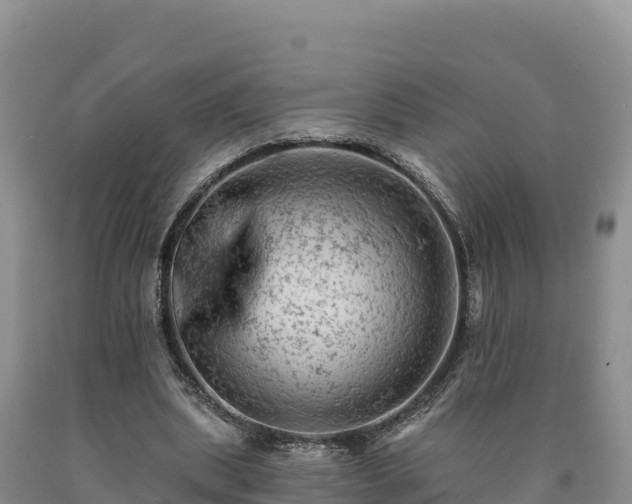 X0000090630439200707241156