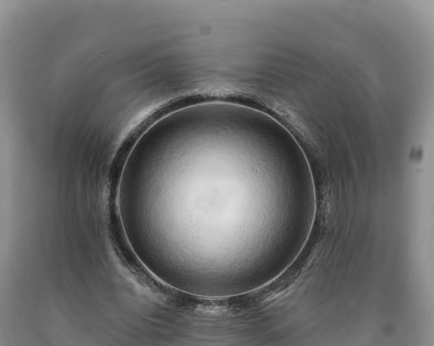 X0000090630440200707241156