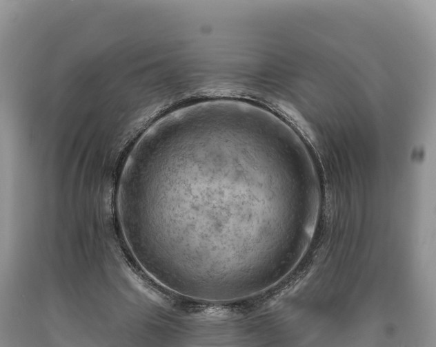 X0000090630441200707241156