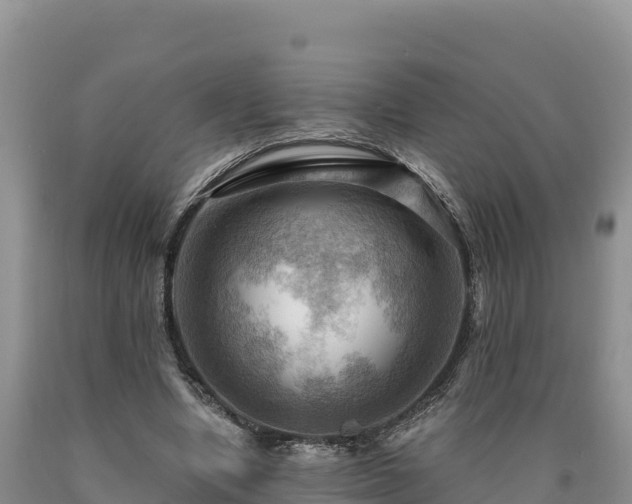 X0000090630442200707241156