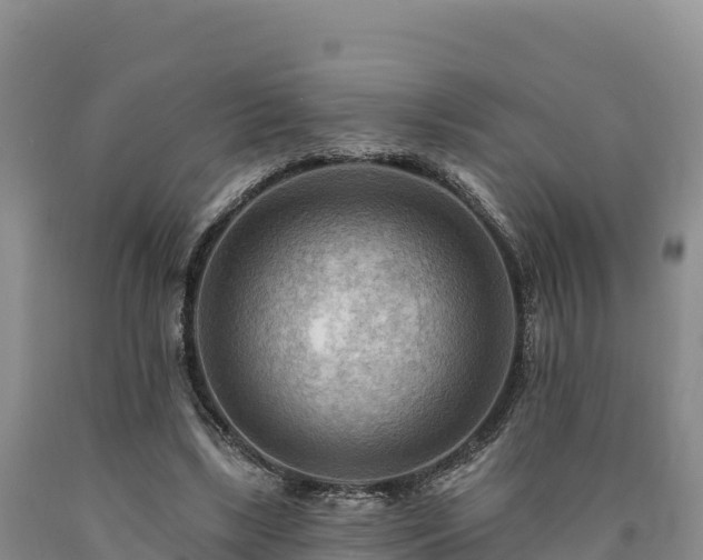 X0000090630443200707241156