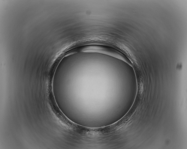 X0000090630444200707241156