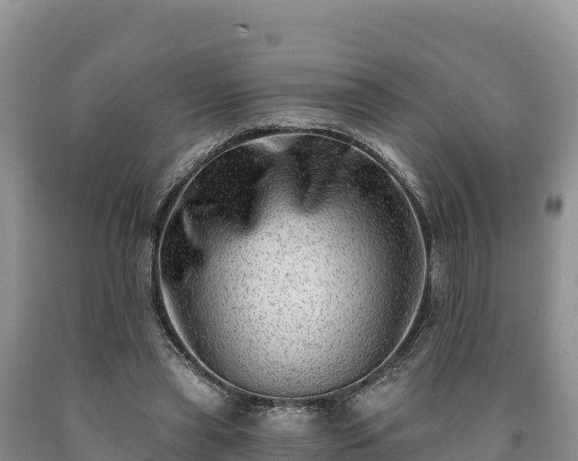 X0000090630445200707241156