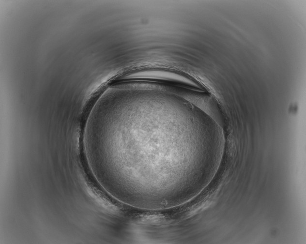 X0000090630446200707241156