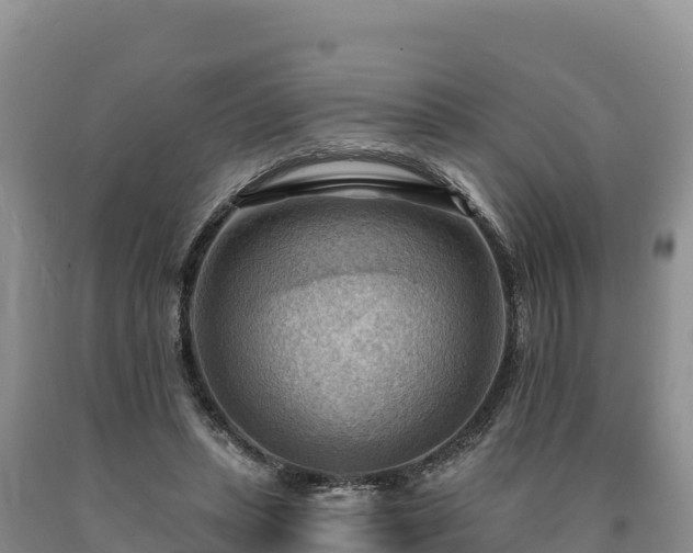 X0000090630447200707241156