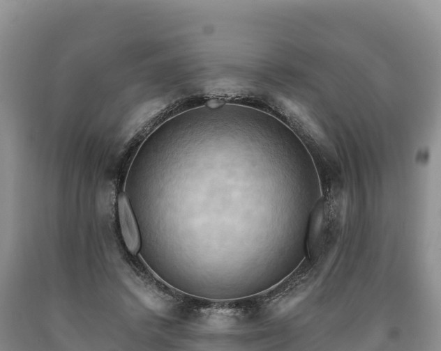 X0000090630448200707241156