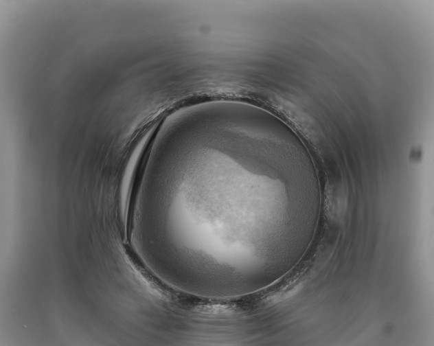 X0000090630449200707241156