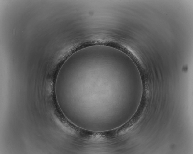 X0000090630451200707241156