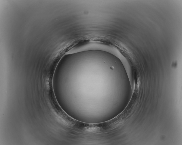 X0000090630452200707241156
