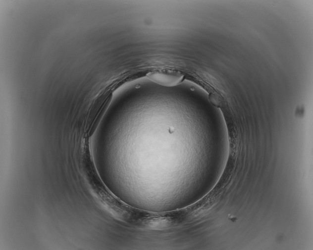 X0000090630456200707241156