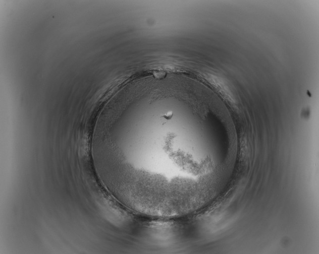 X0000090630457200707241156