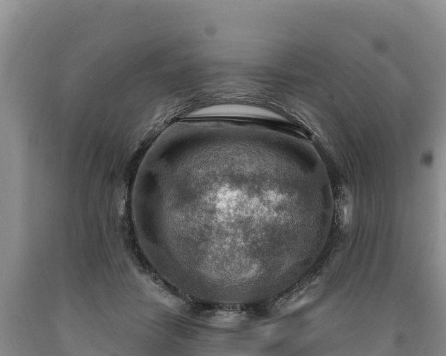 X0000090630458200707241156