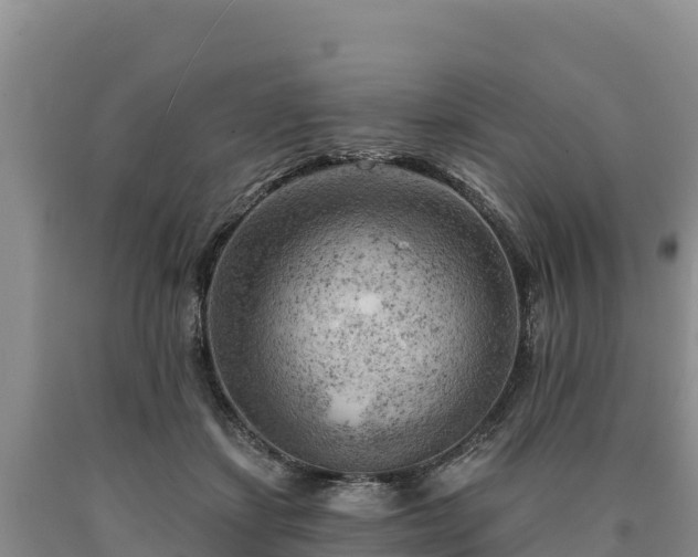 X0000090630459200707241156