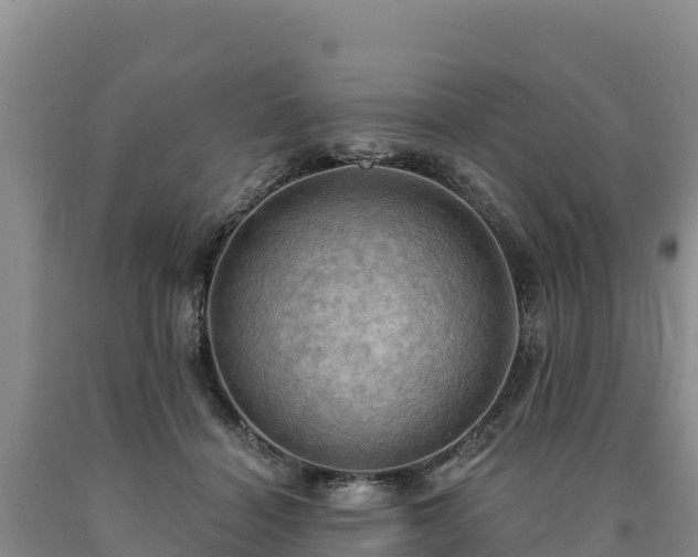 X0000090630460200707241156