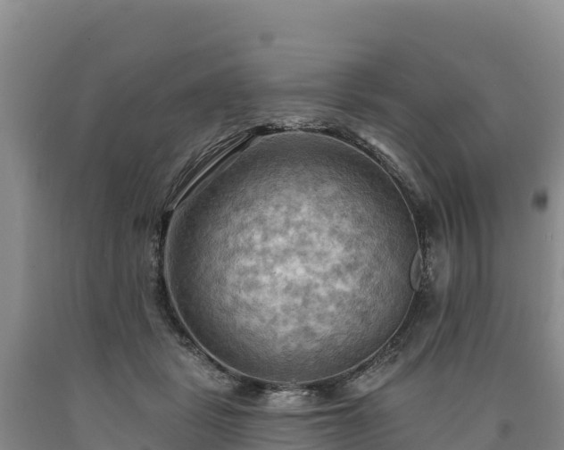 X0000090630461200707241156